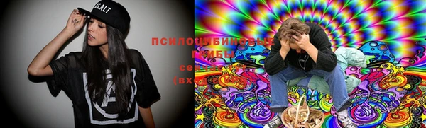 круглые Билибино