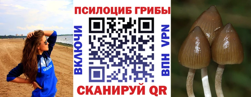 Галлюциногенные грибы GOLDEN TEACHER  Лагань 